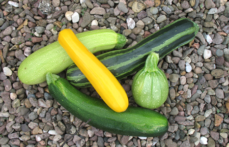 courgettes.jpg